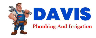 Trusted plumber in DIME BOX